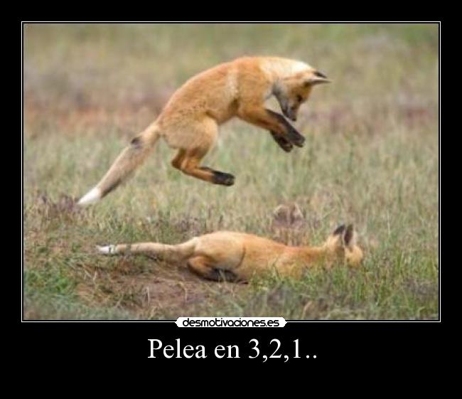 carteles fox desmotivaciones