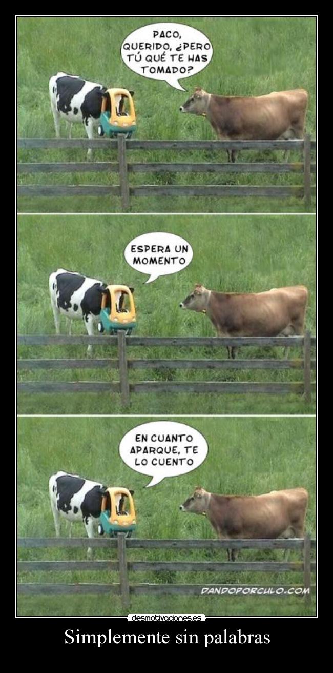 Simplemente sin palabras - 