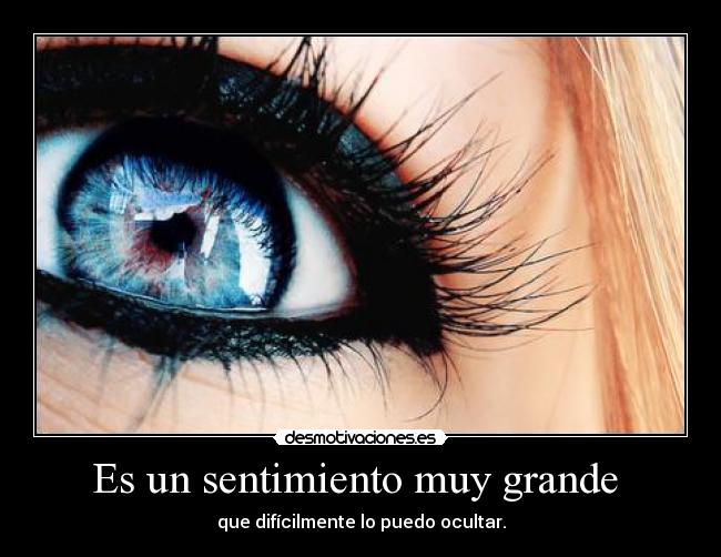 Es un sentimiento muy grande -