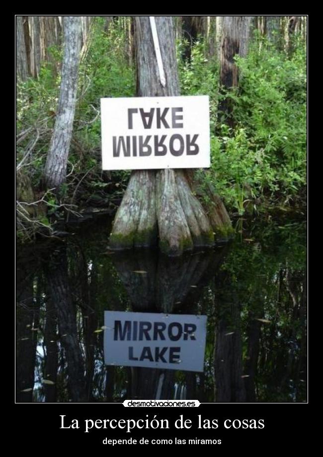 La percepción de las cosas -