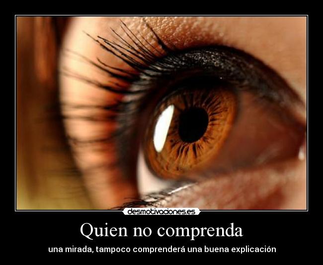 Quien no comprenda - una mirada, tampoco comprenderá una buena explicación