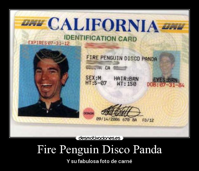 Fire Penguin Disco Panda -
