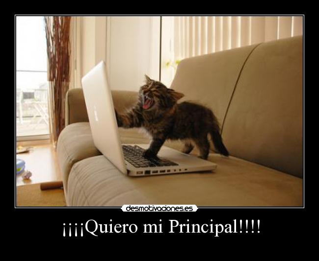 ¡¡¡¡Quiero mi Principal!!!! - 