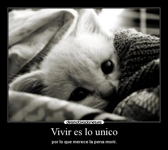 Vivir es lo unico -