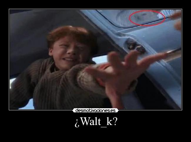 ¿Walt_k? -