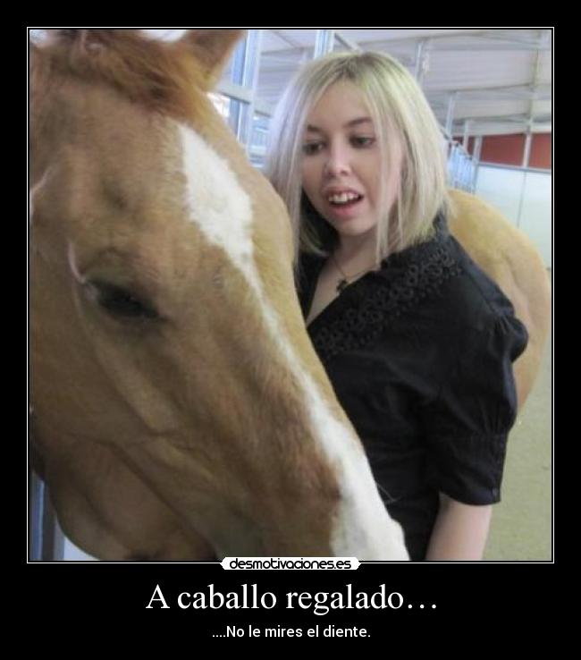 A caballo regalado… - ....No le mires el diente.