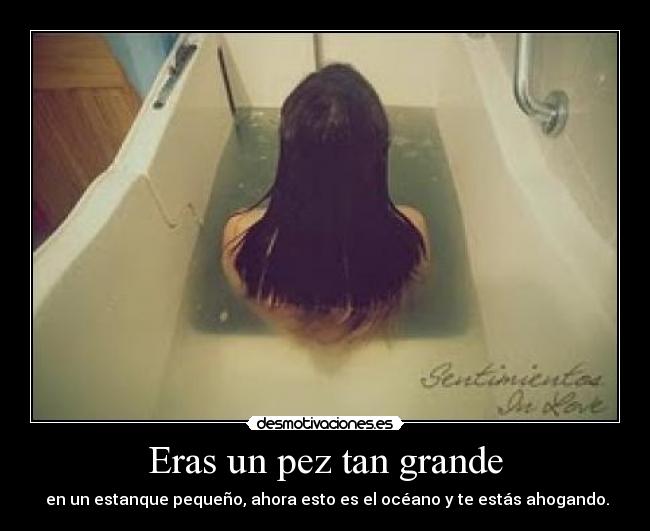 Eras un pez tan grande -