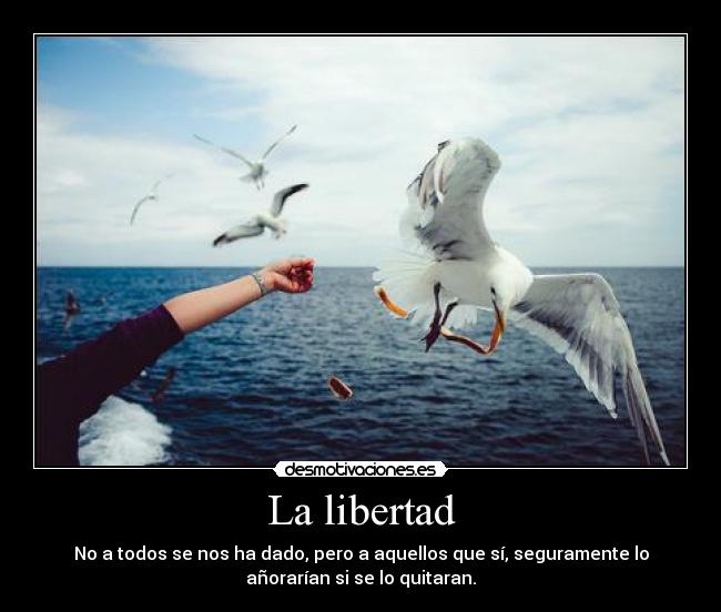La libertad - No a todos se nos ha dado, pero a aquellos que sí, seguramente lo
añorarían si se lo quitaran.