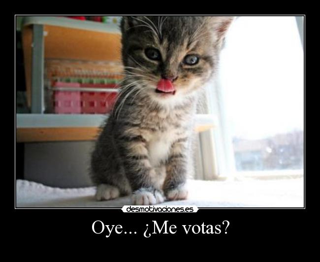 Oye... ¿Me votas? - 