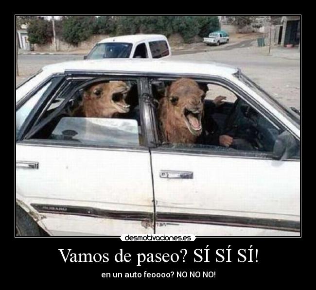 Vamos de paseo? SÍ SÍ SÍ! - en un auto feoooo? NO NO NO!