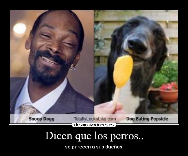 Dicen que los perros.. - 