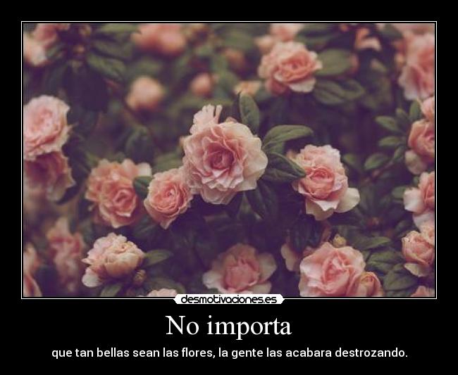 No importa -