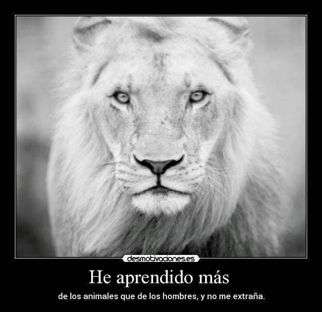He aprendido más  - 