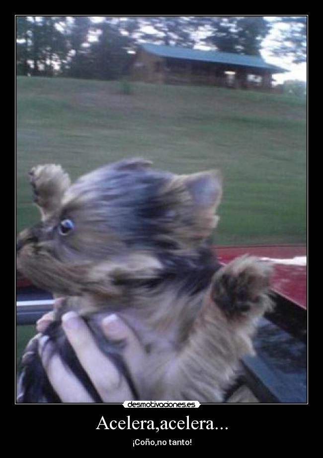 Acelera,acelera... - ¡Coño,no tanto!