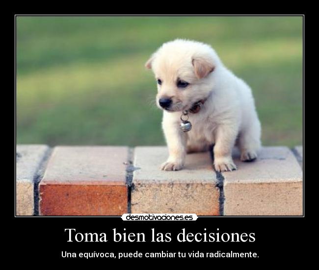 Toma bien las decisiones - Una equívoca, puede cambiar tu vida radicalmente.