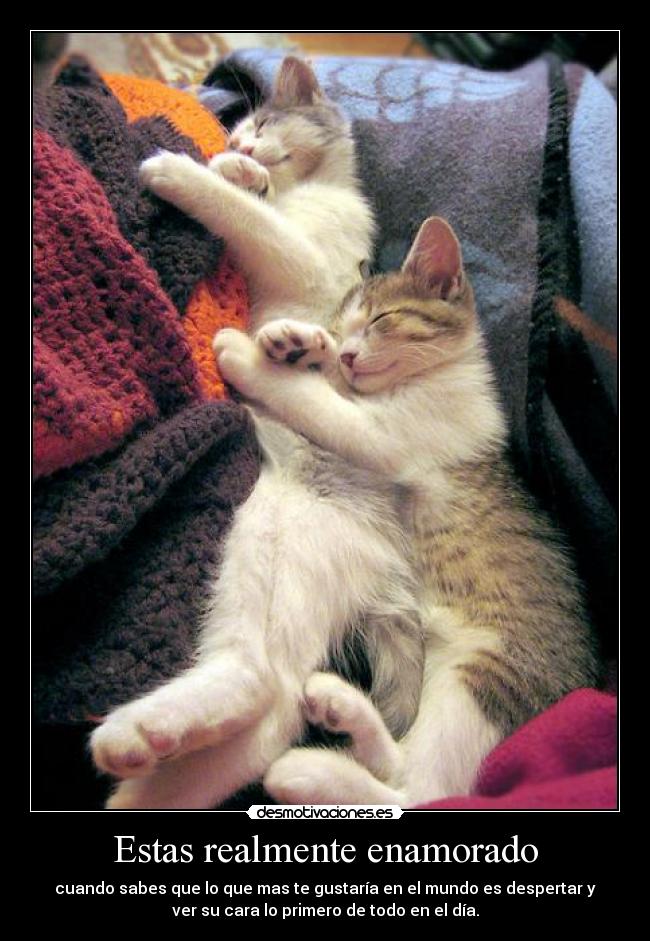 Estas realmente enamorado - cuando sabes que lo que mas te gustaría en el mundo es despertar y
ver su cara lo primero de todo en el día.