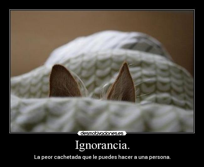 Ignorancia. - La peor cachetada que le puedes hacer a una persona.