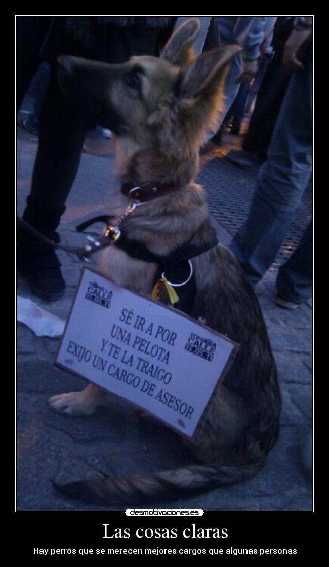 Las cosas claras - Hay perros que se merecen mejores cargos que algunas personas