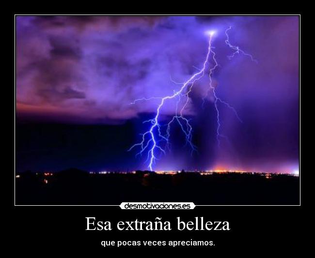 Esa extraña belleza - 