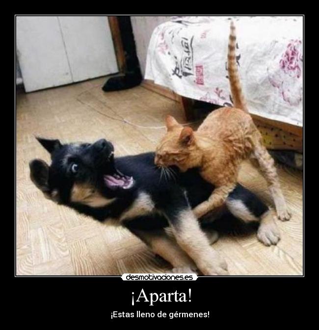 ¡Aparta! - 