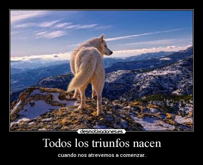 Todos los triunfos nacen - cuando nos atrevemos a comenzar.