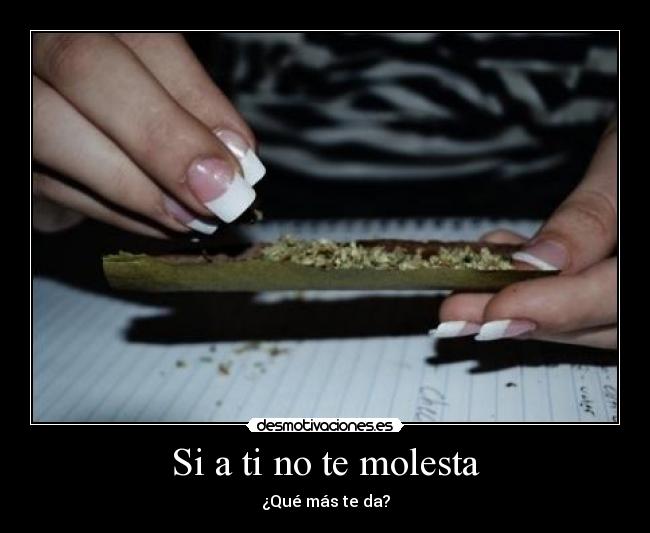 Si a ti no te molesta - ¿Qué más te da?