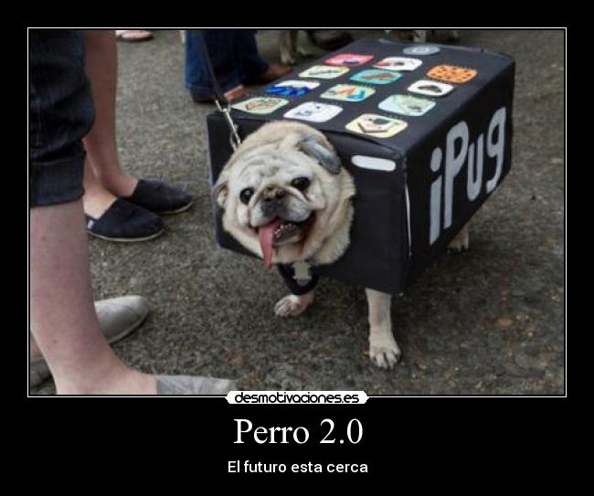 Perro 2.0 - 