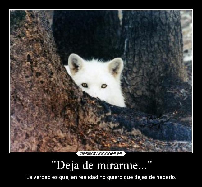 Deja de mirarme... -