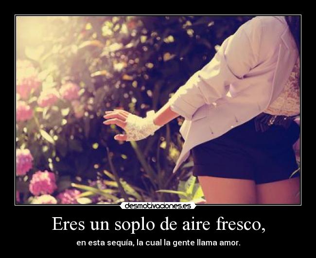 Eres un soplo de aire fresco, -