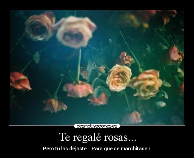 Te regalé rosas... - Pero tu las dejaste... Para que se marchitasen.