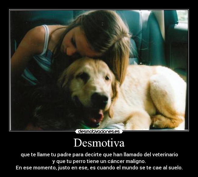 Desmotiva - que te llame tu padre para decirte que han llamado del veterinario
y que tu perro tiene un cáncer maligno.
En ese momento, justo en ese, es cuando el mundo se te cae al suelo.