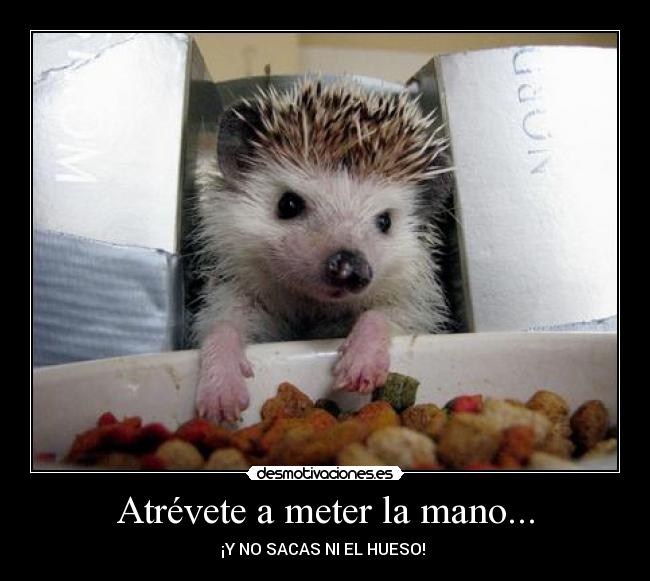 Atrévete a meter la mano... -