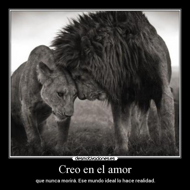 Creo en el amor - que nunca morirá. Ese mundo ideal lo hace realidad.