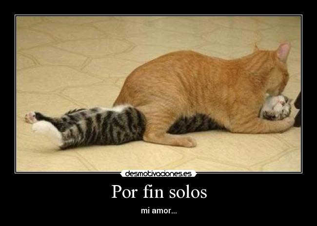 Por fin solos - 