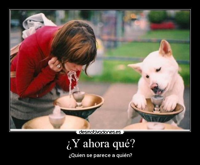 ¿Y ahora qué? - ¿Quien se parece a quién?