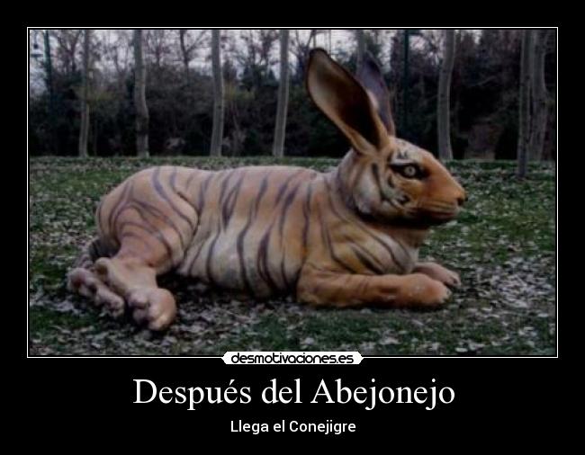 Después del Abejonejo - Llega el Conejigre