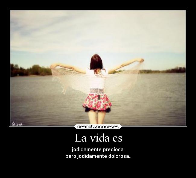 La vida es - 