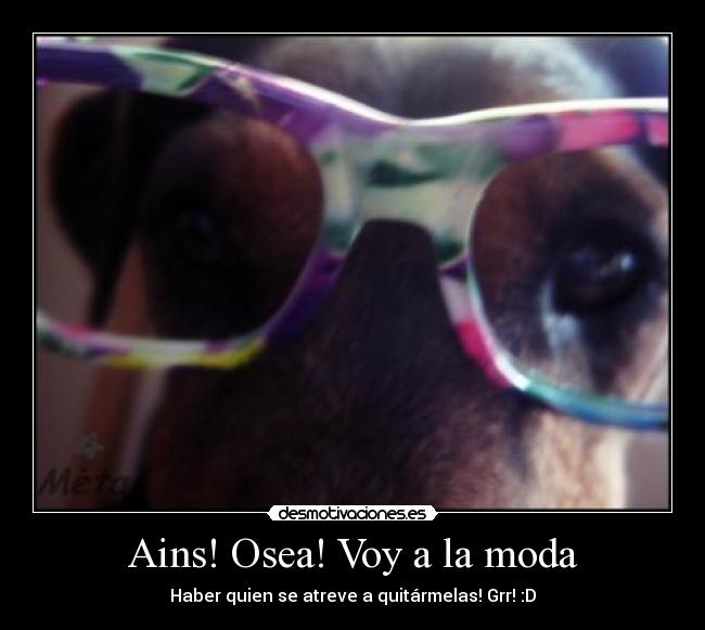 Ains! Osea! Voy a la moda - Haber quien se atreve a quitármelas! Grr! :D