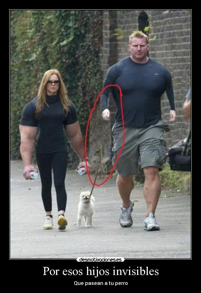 Por esos hijos invisibles - Que pasean a tu perro
