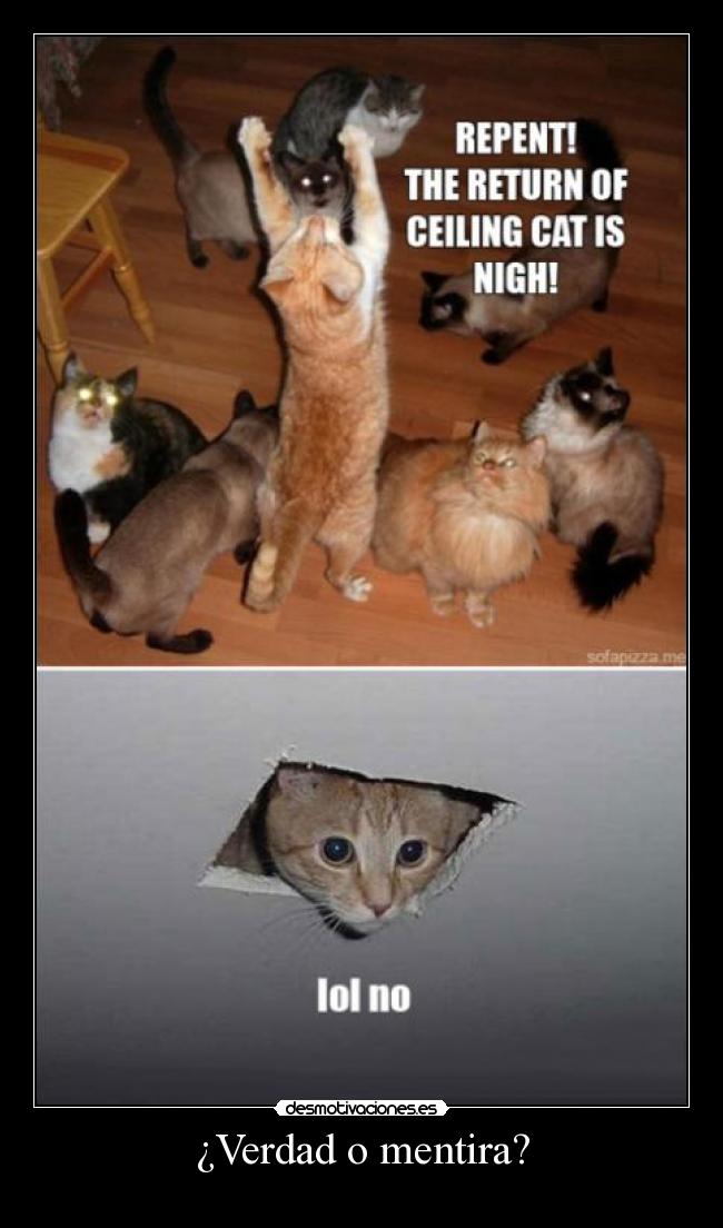 ¿Verdad o mentira? -