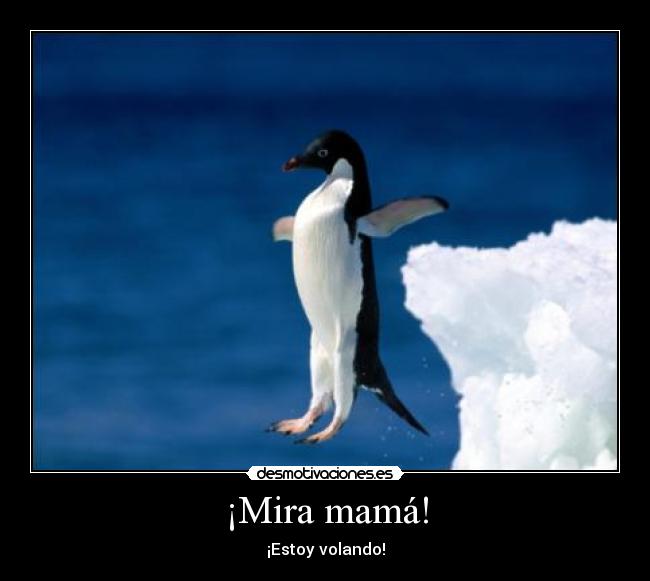 ¡Mira mamá! - ¡Estoy volando!