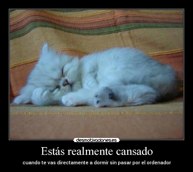 Estás realmente cansado - cuando te vas directamente a dormir sin pasar por el ordenador