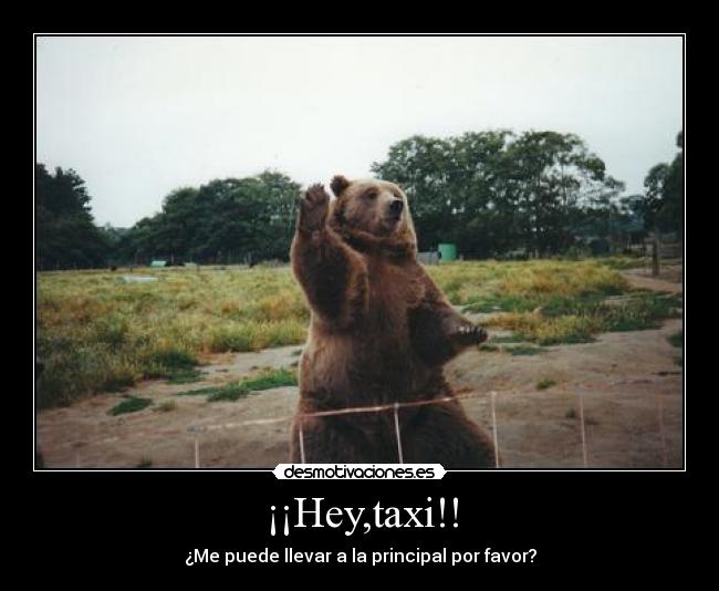 ¡¡Hey,taxi!! - ¿Me puede llevar a la principal por favor?