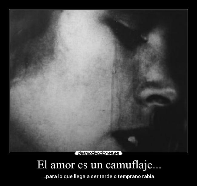 carteles amor amor rabia desmotivaciones