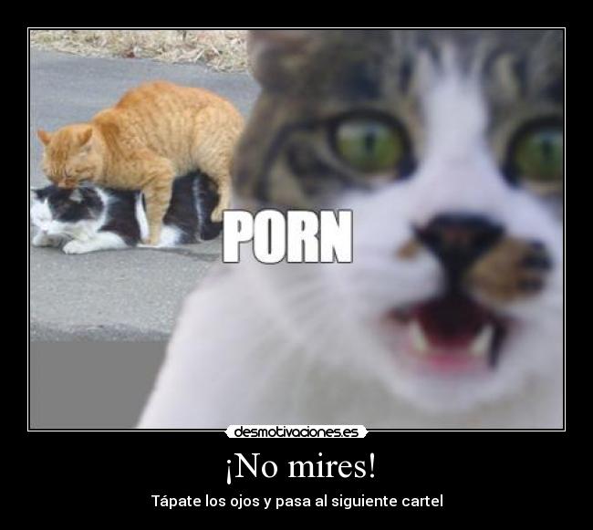 ¡No mires! - 