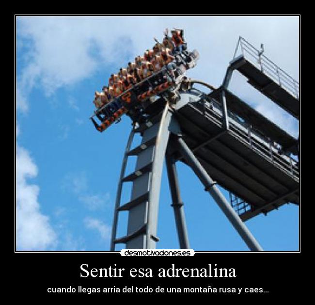 Sentir esa adrenalina - cuando llegas arria del todo de una montaña rusa y caes...
