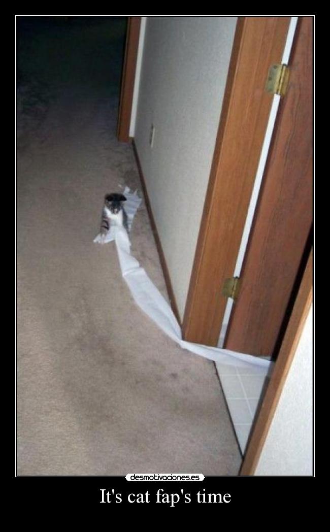 Its cat faps time -