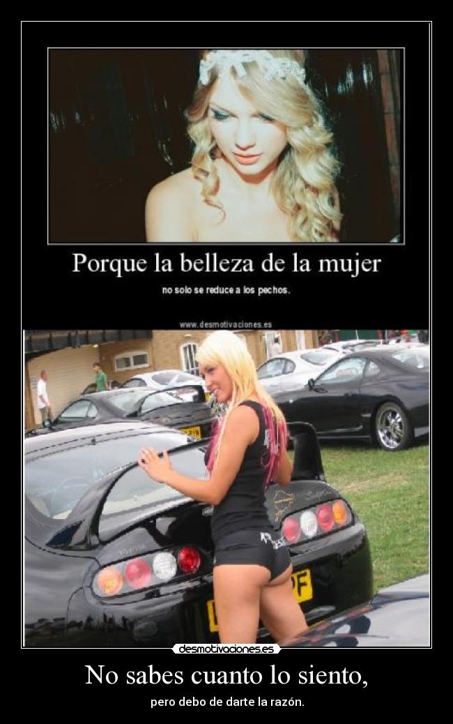 No sabes cuanto lo siento, -