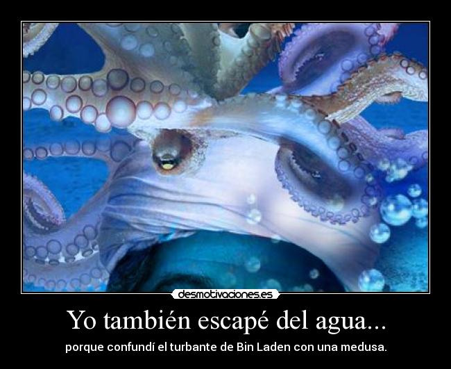 Yo también escapé del agua... - porque confundí el turbante de Bin Laden con una medusa.