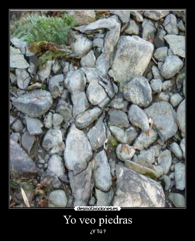 Yo veo piedras - 